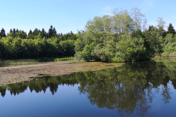 Parc naturel du Jorat (VD) (périurbain)