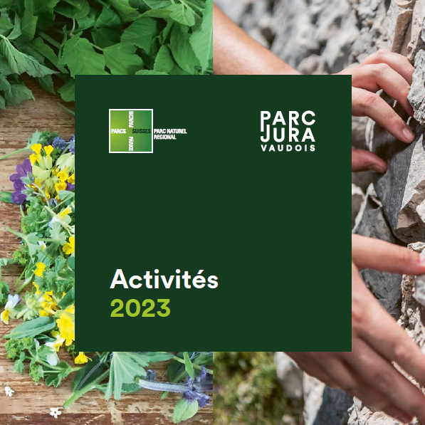 couverture du programme d'activités 2023 du Parc naturel régional Jura vaudois . photos de fleurs et de murs en pierres sèches.