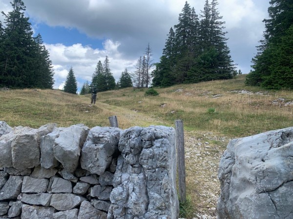 Col du Marchairuz