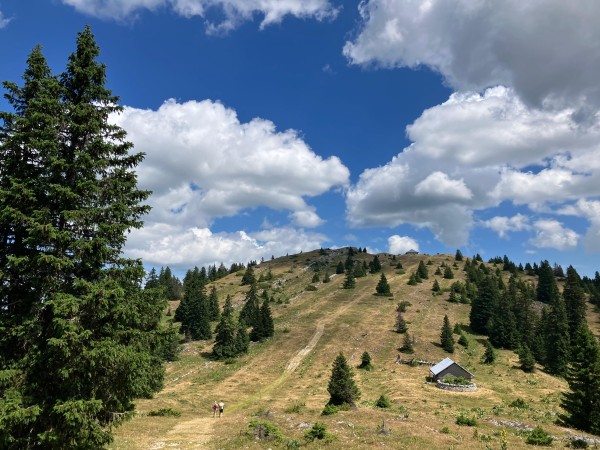 Col du Marchairuz