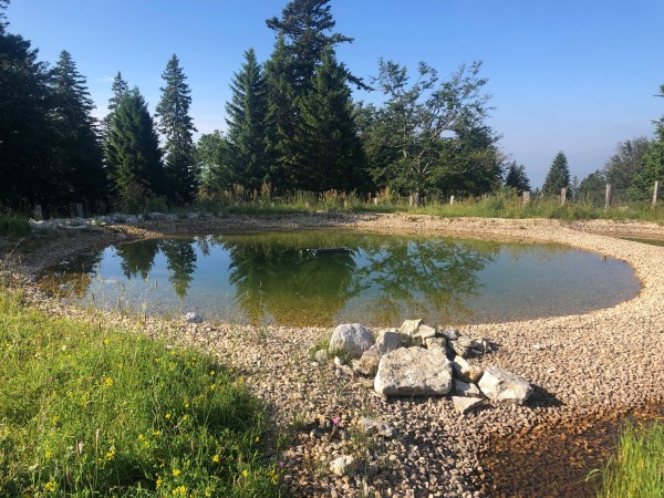 Etangs agroécologiques