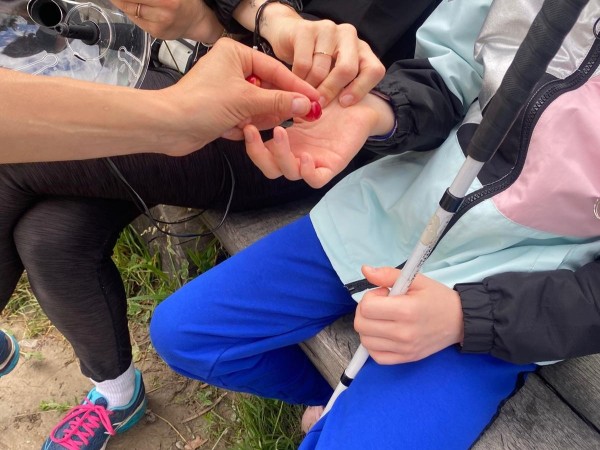 Animation inclusive - 1,2,3 nous irons au bois