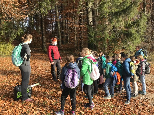 Cycle 2 - L'univers du forestier