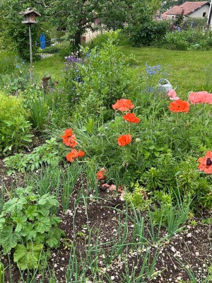 Au jardin