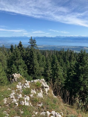 Col du Marchairuz